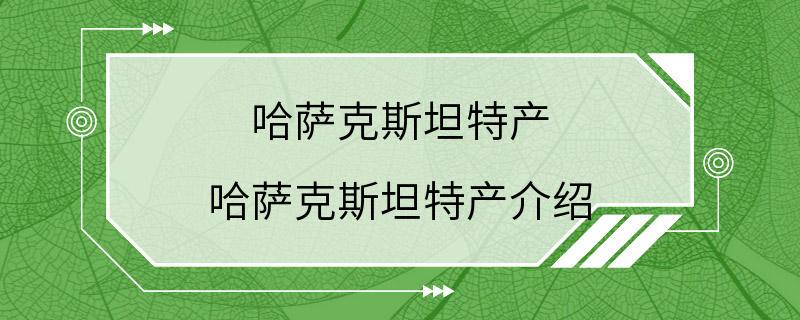 哈萨克斯坦特产 哈萨克斯坦特产介绍