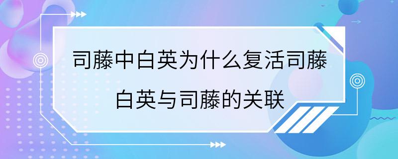 司藤中白英为什么复活司藤 白英与司藤的关联