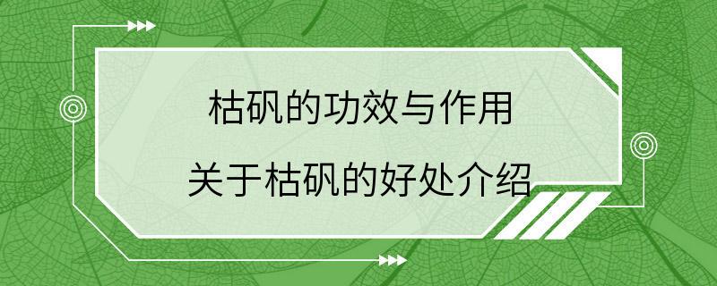 枯矾的功效与作用 关于枯矾的好处介绍