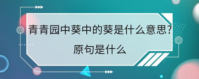 青青园中葵中的葵是什么意思? 原句是什么