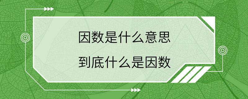 因数是什么意思 到底什么是因数