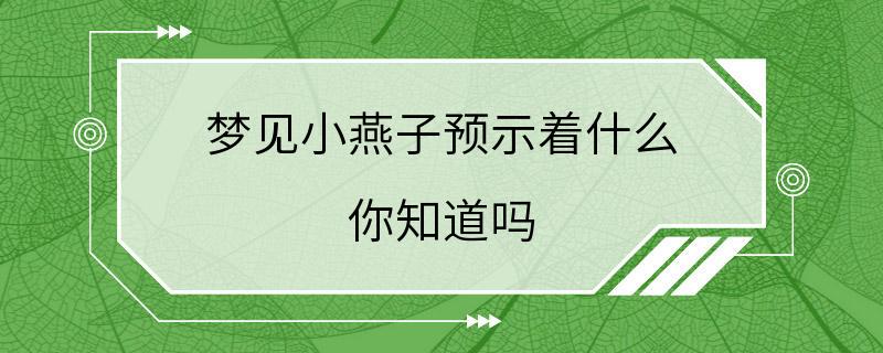 梦见小燕子预示着什么 你知道吗