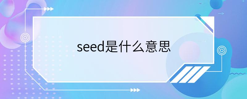 seed是什么意思