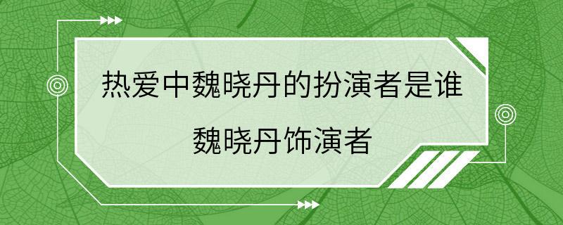 热爱中魏晓丹的扮演者是谁 魏晓丹饰演者