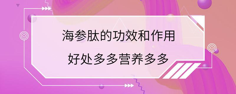 海参肽的功效和作用 好处多多营养多多