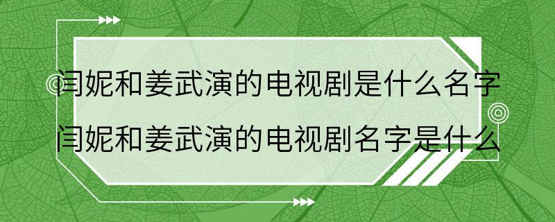 闫妮和姜武演的电视剧是什么名字 闫妮和姜武演的电视剧名字是什么