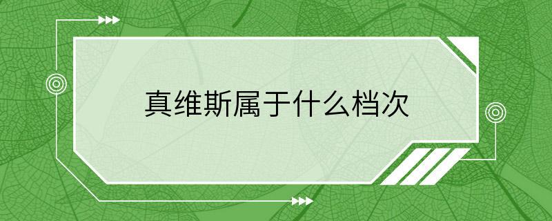 真维斯属于什么档次