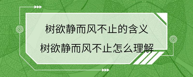 树欲静而风不止的含义 树欲静而风不止怎么理解