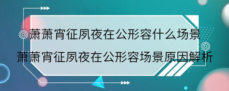 萧萧宵征夙夜在公形容什么场景 萧萧宵征夙夜在公形容场景原因解析