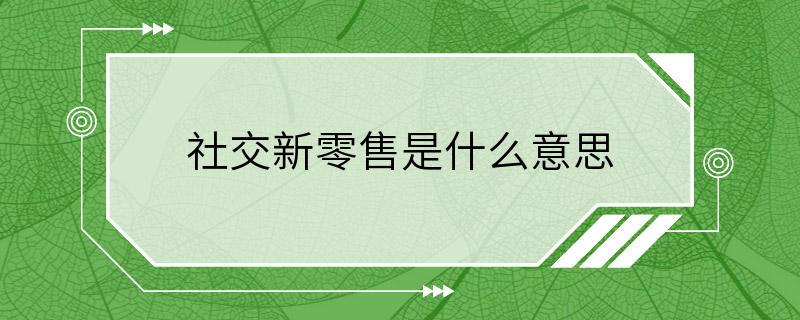 社交新零售是什么意思