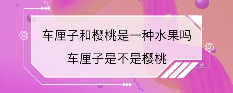 车厘子和樱桃是一种水果吗 车厘子是不是樱桃