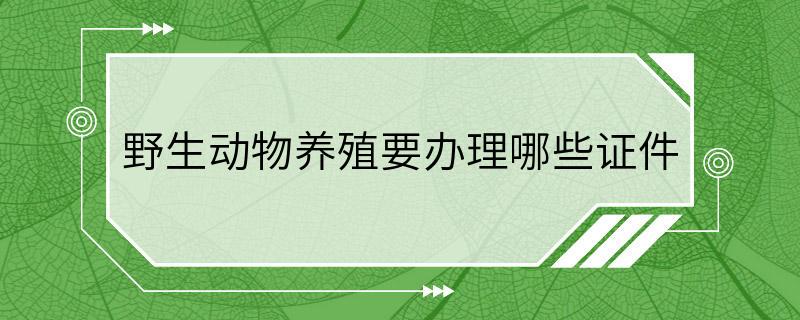 野生动物养殖要办理哪些证件