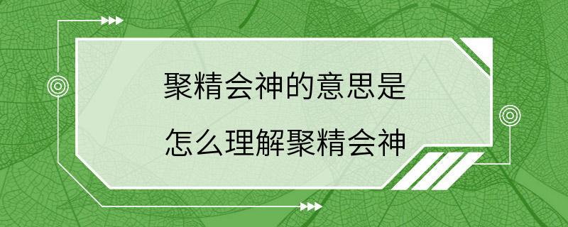 聚精会神的意思是 怎么理解聚精会神