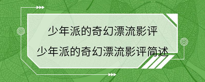 少年派的奇幻漂流影评 少年派的奇幻漂流影评简述