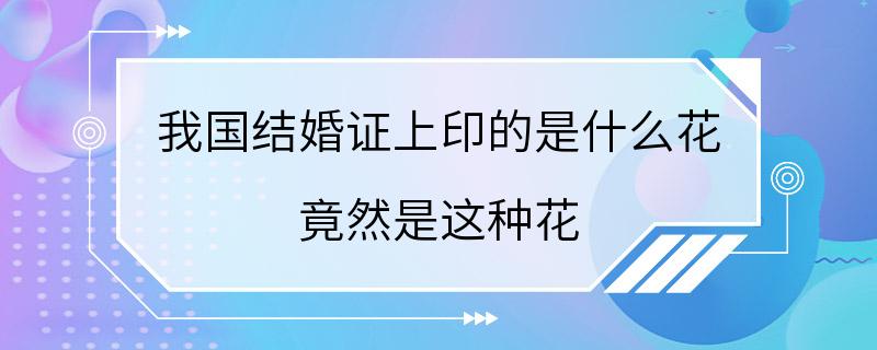 我国结婚证上印的是什么花 竟然是这种花