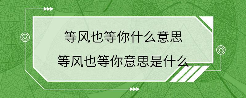 等风也等你什么意思 等风也等你意思是什么