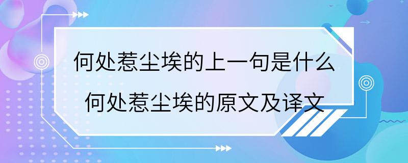 何处惹尘埃的上一句是什么 何处惹尘埃的原文及译文