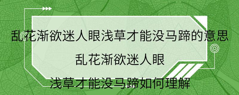 乱花渐欲迷人眼浅草才能没马蹄的意思 乱花渐欲迷人眼,浅草才能没马蹄如何理解