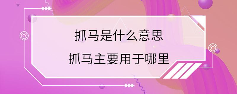 抓马是什么意思 抓马主要用于哪里