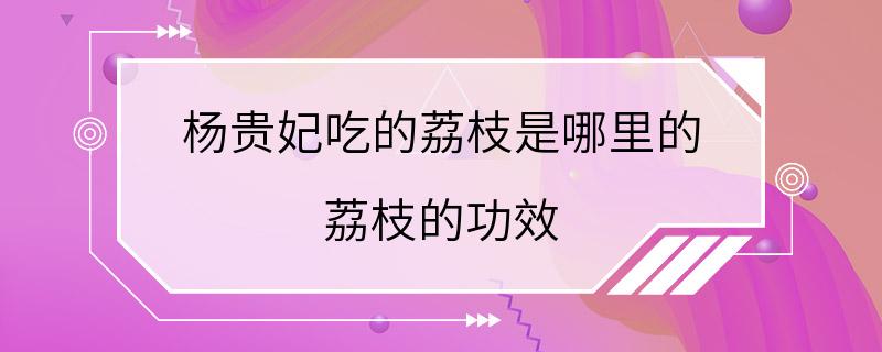 杨贵妃吃的荔枝是哪里的 荔枝的功效