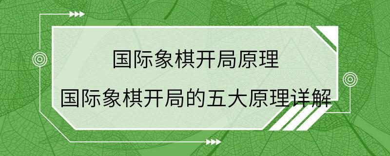 国际象棋开局原理 国际象棋开局的五大原理详解