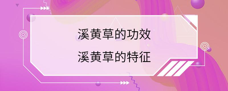 溪黄草的功效 溪黄草的特征