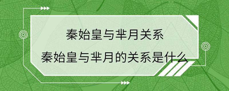 秦始皇与芈月关系 秦始皇与芈月的关系是什么