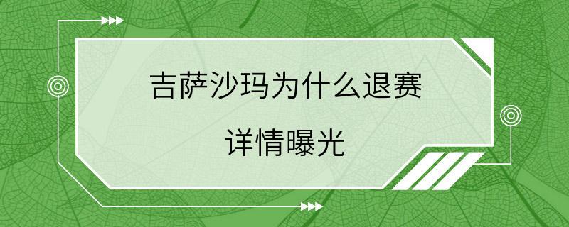 吉萨沙玛为什么退赛 详情曝光