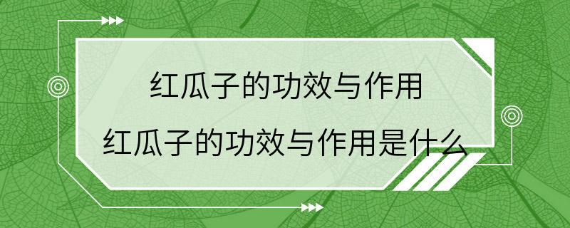 红瓜子的功效与作用 红瓜子的功效与作用是什么