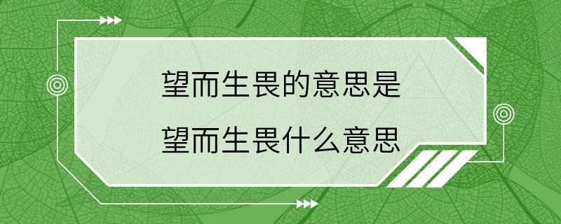 望而生畏的意思是 望而生畏什么意思