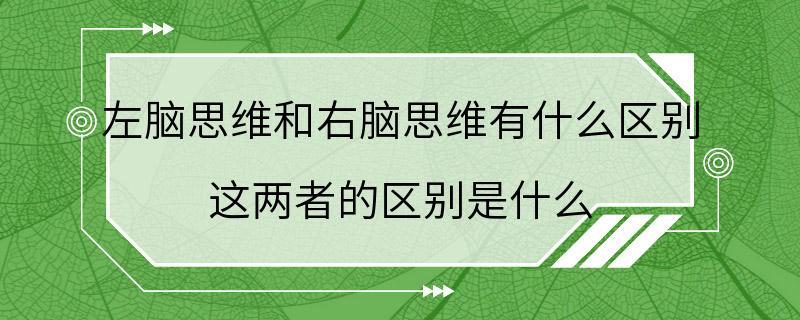 左脑思维和右脑思维有什么区别 这两者的区别是什么