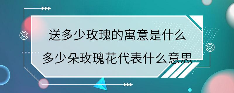 送多少玫瑰的寓意是什么 多少朵玫瑰花代表什么意思