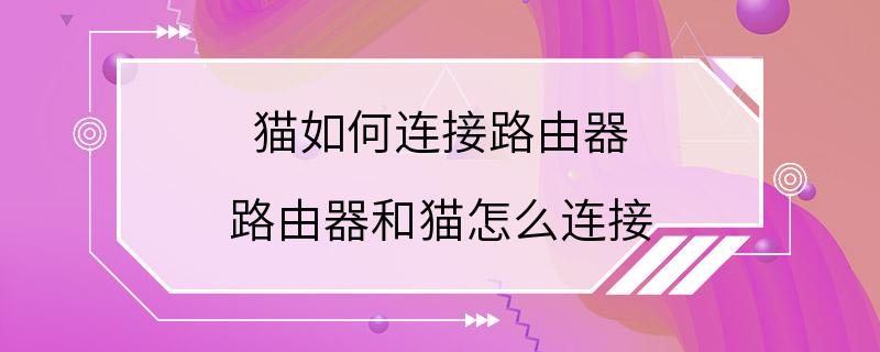 猫如何连接路由器 路由器和猫怎么连接