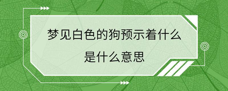 梦见白色的狗预示着什么 是什么意思