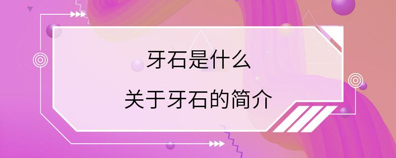 牙石是什么 关于牙石的简介