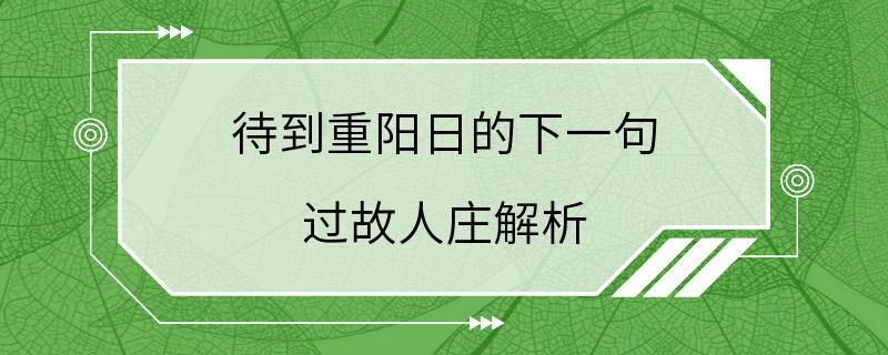 待到重阳日的下一句 过故人庄解析