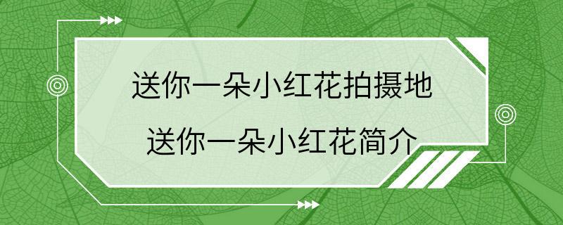 送你一朵小红花拍摄地 送你一朵小红花简介