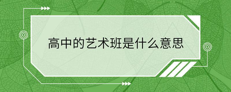 高中的艺术班是什么意思