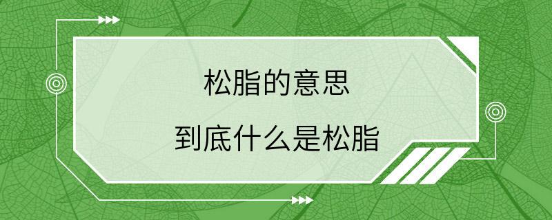 松脂的意思 到底什么是松脂