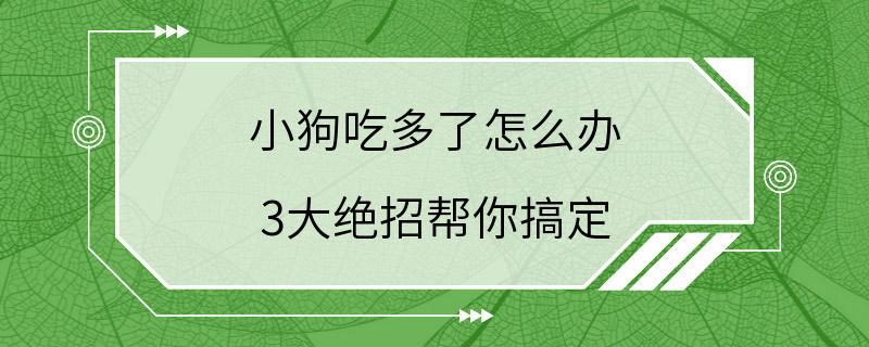 小狗吃多了怎么办 3大绝招帮你搞定