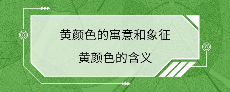 黄颜色的寓意和象征 黄颜色的含义