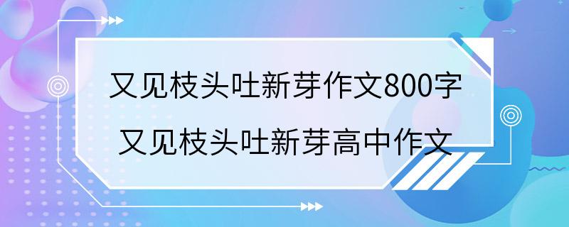 又见枝头吐新芽作文800字 又见枝头吐新芽高中作文