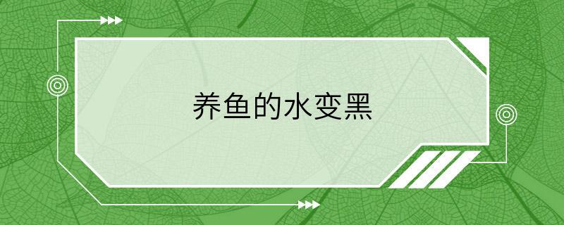 养鱼的水变黑