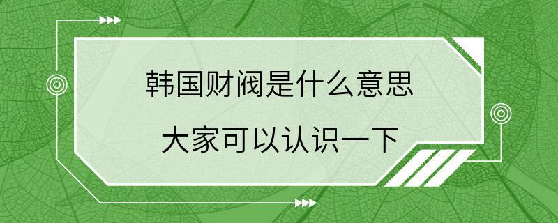 韩国财阀是什么意思 大家可以认识一下