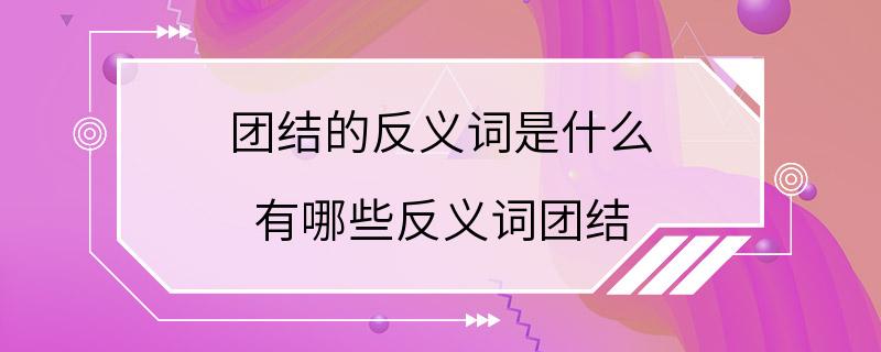 团结的反义词是什么 有哪些反义词团结