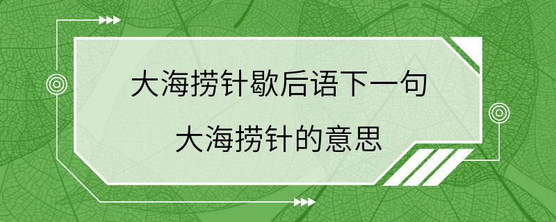 大海捞针歇后语下一句 大海捞针的意思