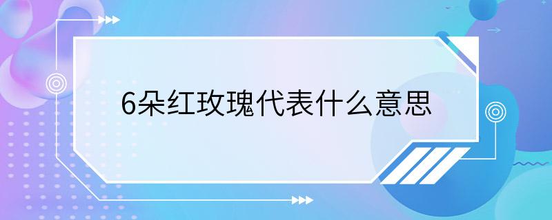 6朵红玫瑰代表什么意思