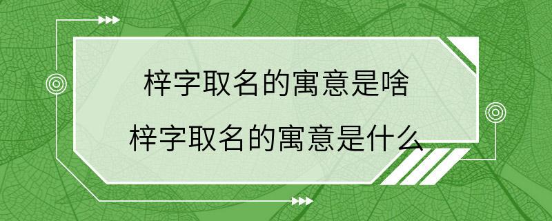 梓字取名的寓意是啥 梓字取名的寓意是什么