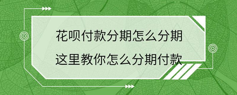 花呗付款分期怎么分期 这里教你怎么分期付款