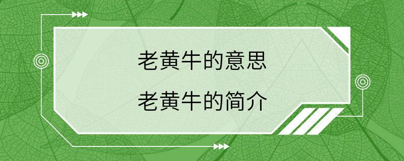 老黄牛的意思 老黄牛的简介